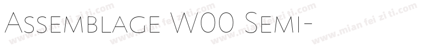Assemblage W00 Semi字体转换